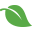 Ecolabel icon green