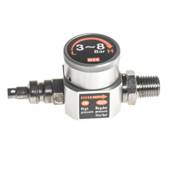 MAX PAINEENALENNIN 20b-8B